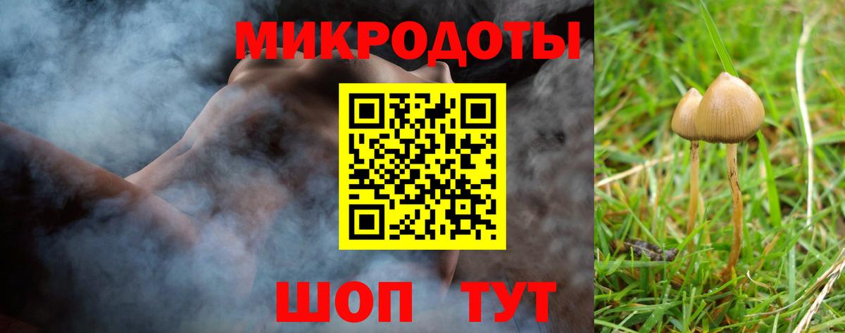 Воркута  Галлюциногенные грибы Psilocybine cubensis  Вход с VPN 